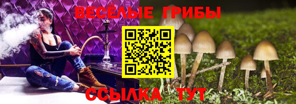 Галлюциногенные грибы мухоморы Ангарск